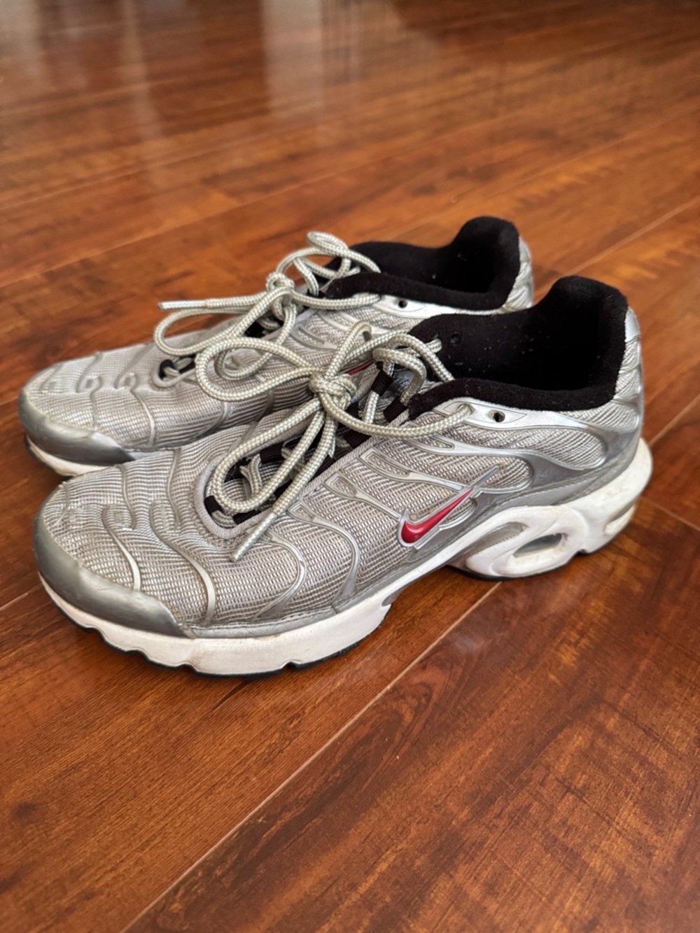 Nike Kids Silver Gray Sneakers with Red Swoosh